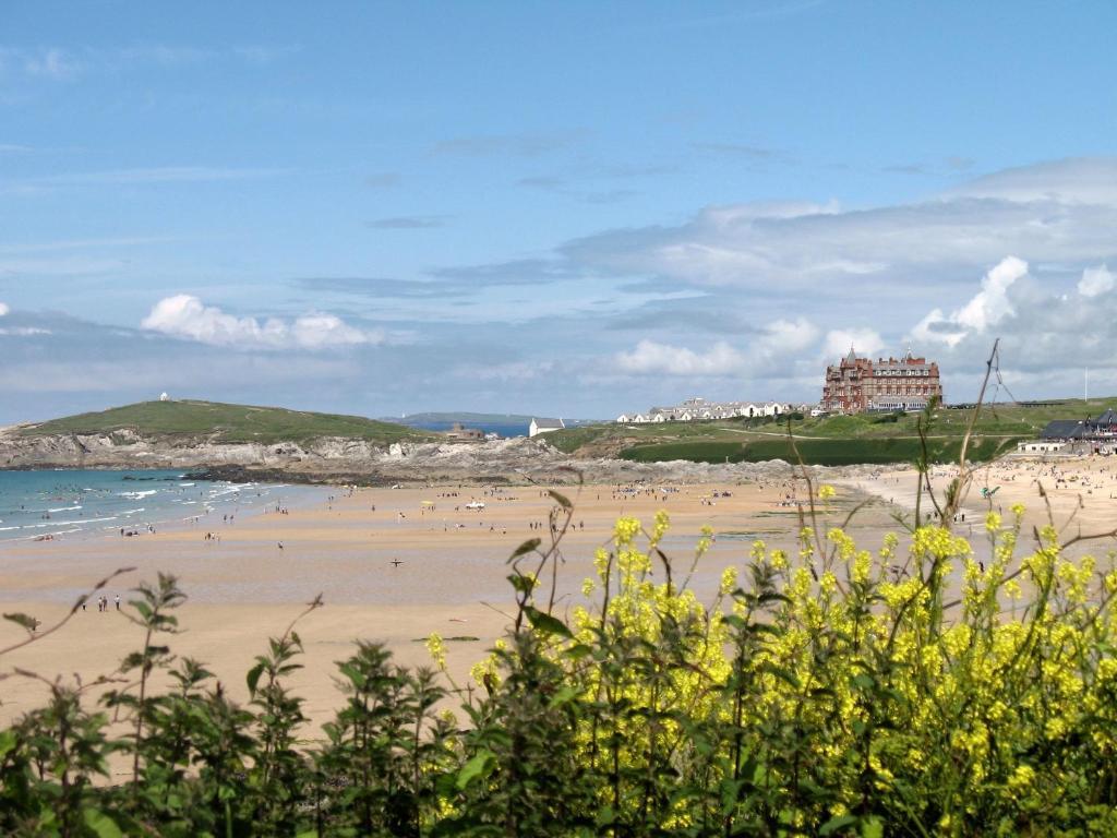 Cormorant House Bed & Breakfast New Quay Eksteriør bilde